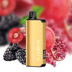 BLACKBERRY POMEGRANATE CHERRY - Alibarbar Ingot 9000 Disposable Vape